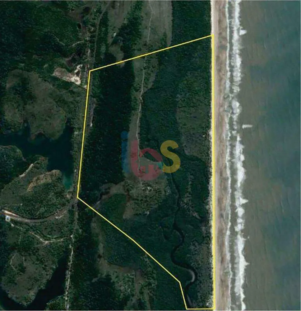Terreno, 56 hectares - Foto 1