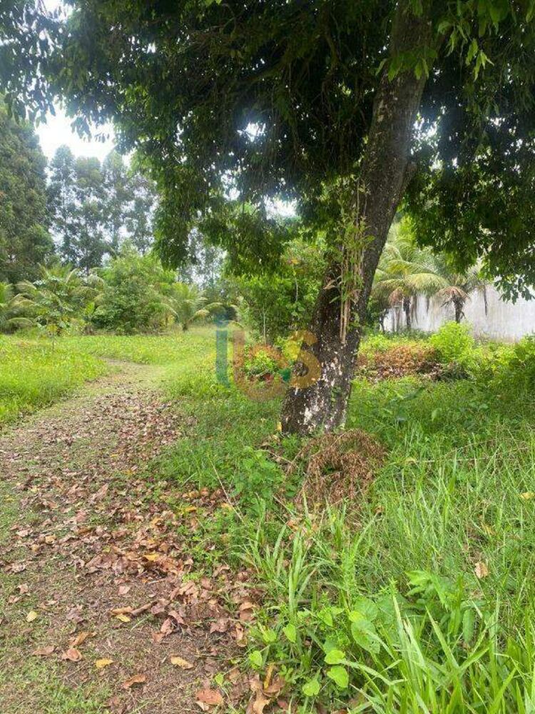 Terreno, 800 m² - Foto 4