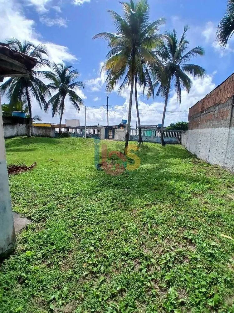 Sítio, 2 quartos, 296 m² - Foto 2