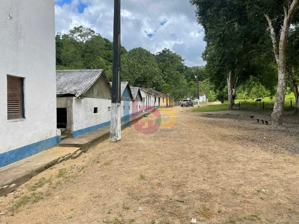 Sítio, 1 quarto, 95 hectares - Foto 3