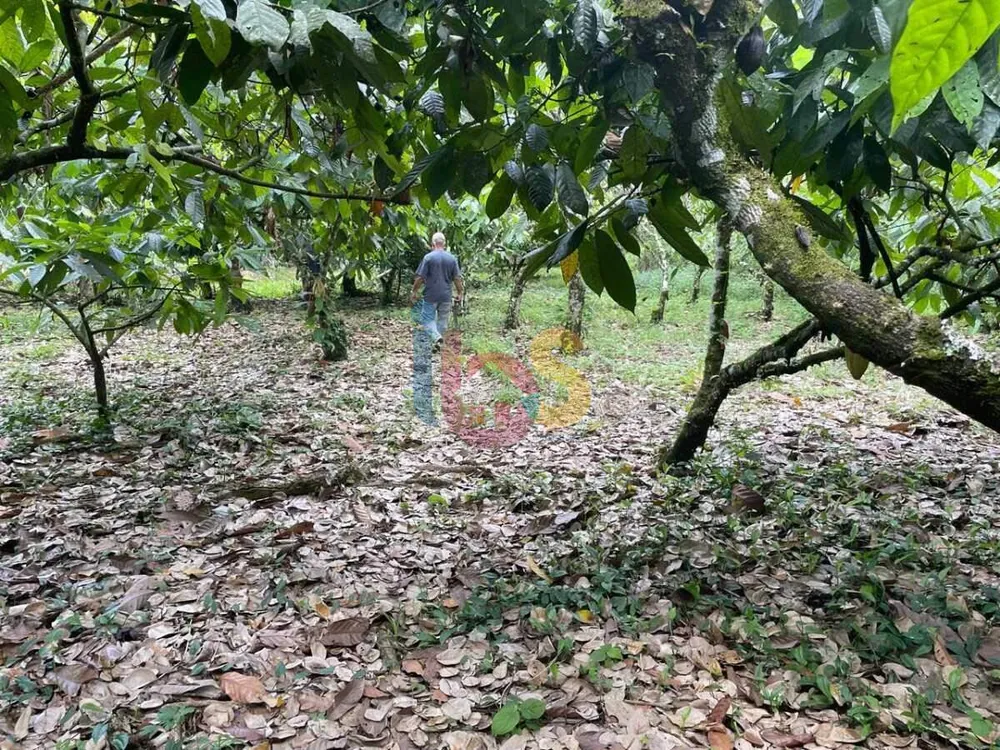 Sítio, 1 quarto, 95 hectares - Foto 8