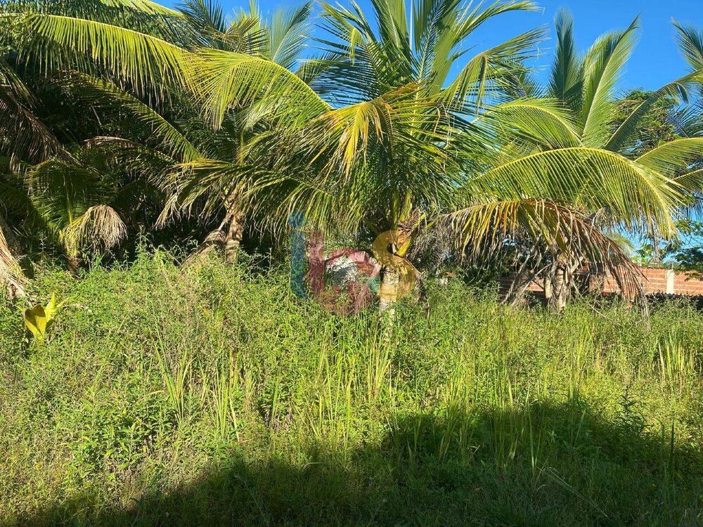 Terreno, 200 m² - Foto 3