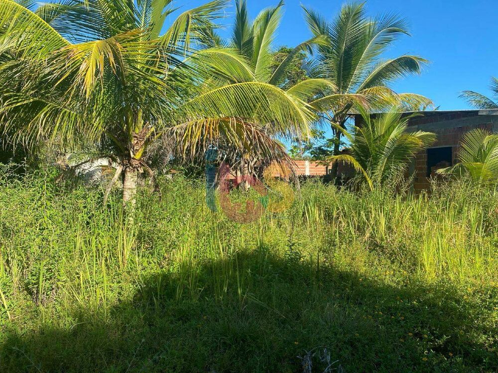 Terreno, 200 m² - Foto 2