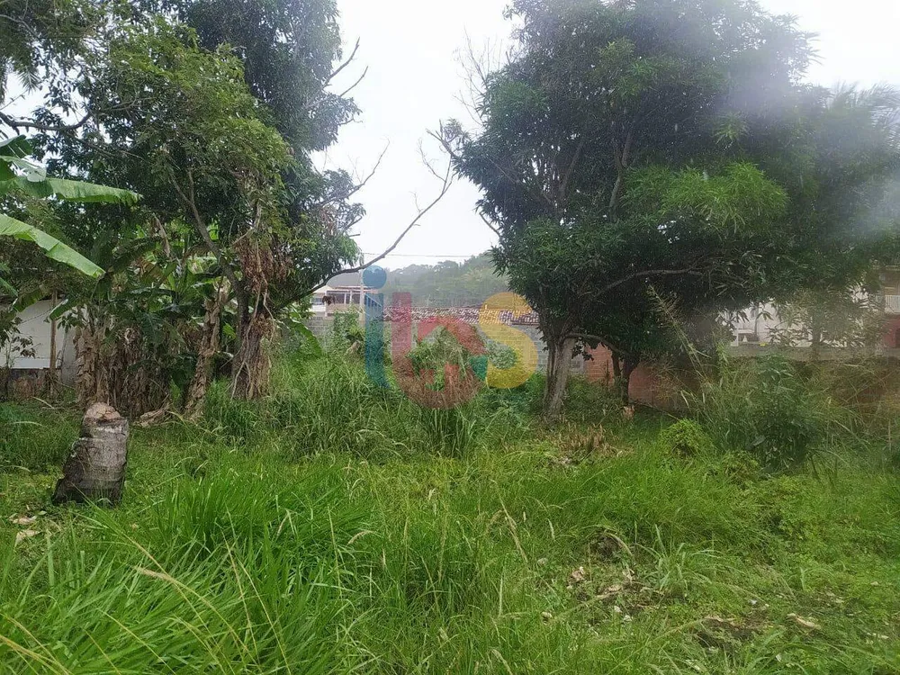 Casa, 4 quartos, 780 m² - Foto 17
