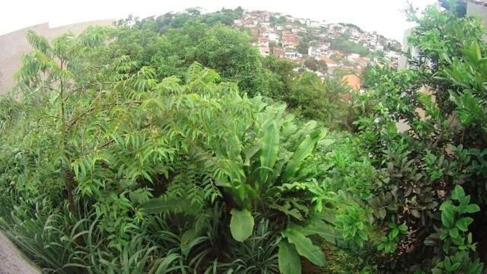 Terreno, 760 m² - Foto 3