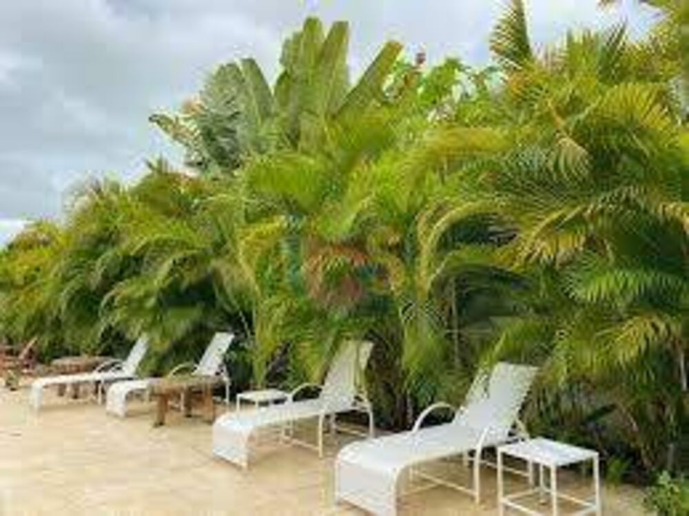 Hotel, 13 quartos, 650 m² - Foto 11