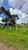 Terreno, 450 m² - Foto 4