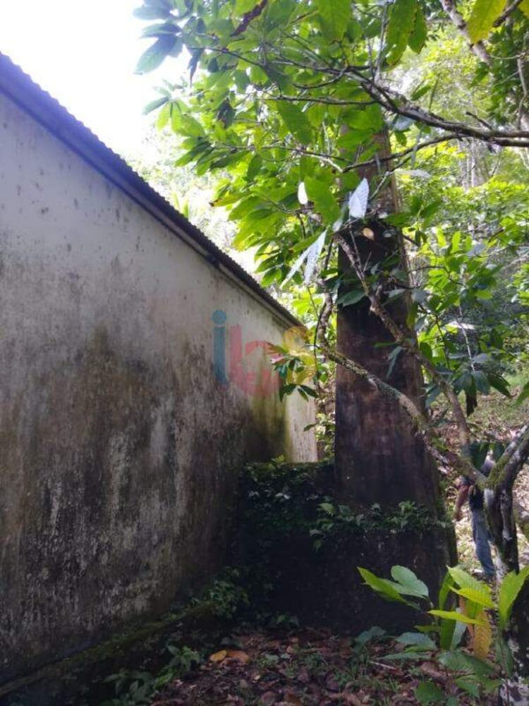 Fazenda - Foto 7
