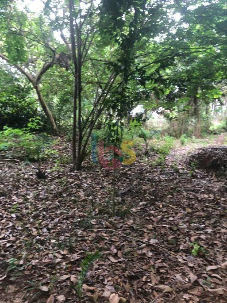 Terreno, 1500 m² - Foto 4