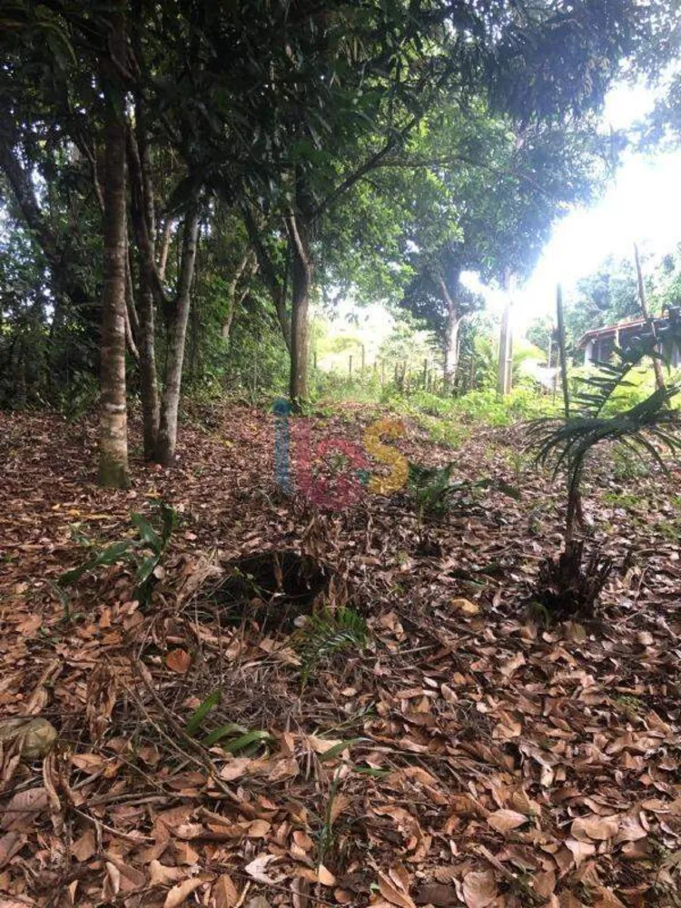 Terreno, 1500 m² - Foto 2