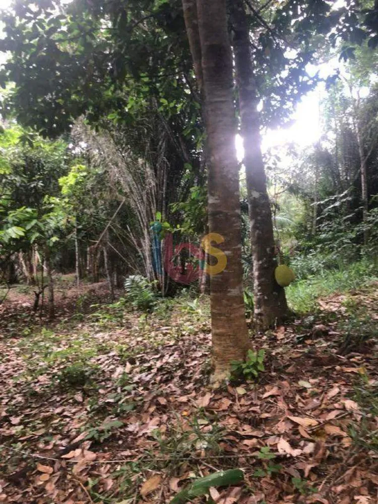 Terreno, 1500 m² - Foto 8