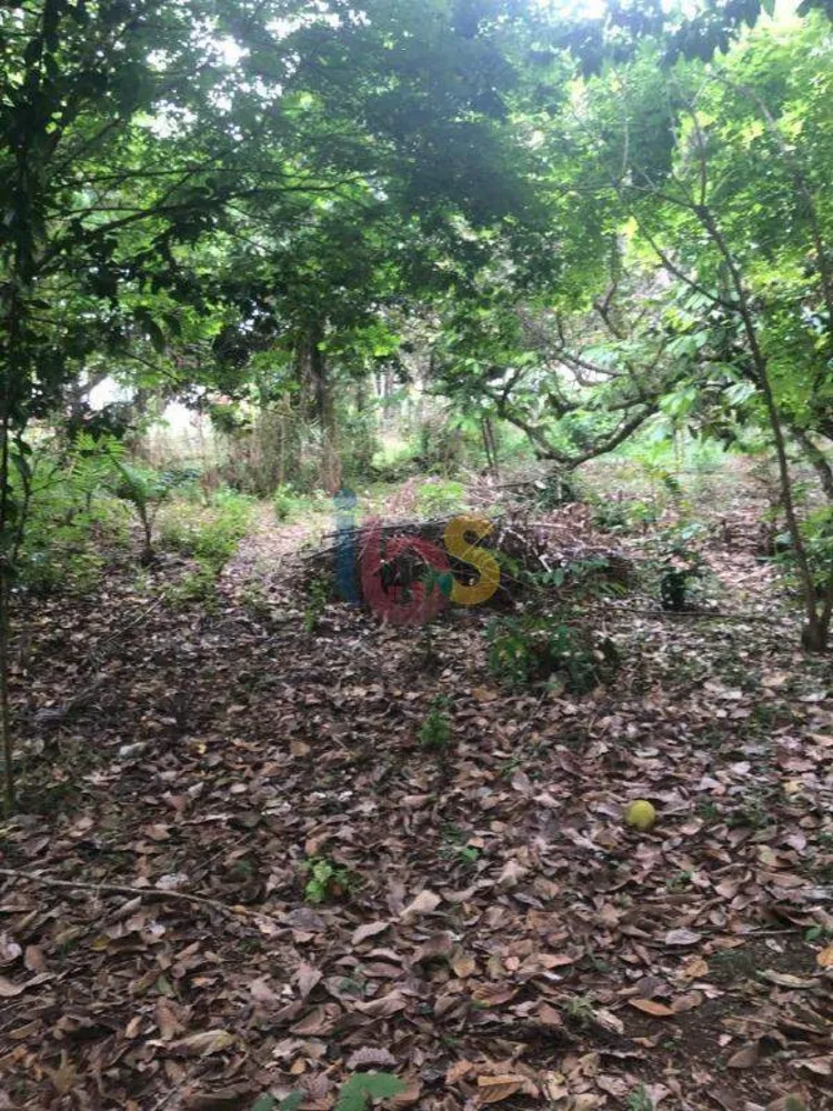 Terreno, 1500 m² - Foto 9