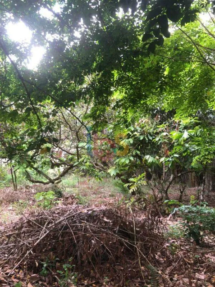 Terreno, 1500 m² - Foto 5