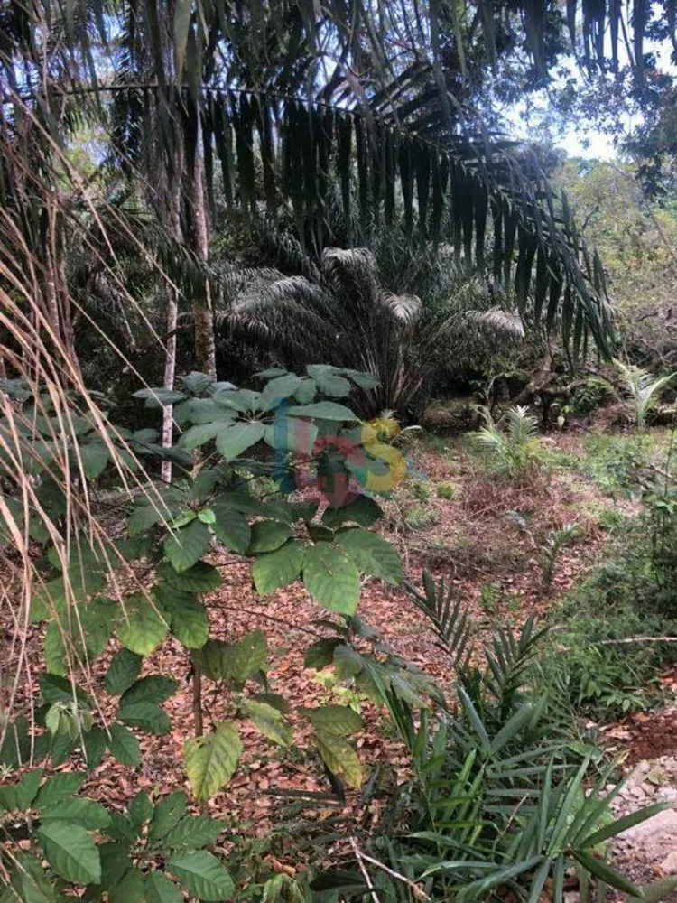 Terreno, 1500 m² - Foto 3