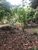 Terreno, 1500 m² - Foto 2