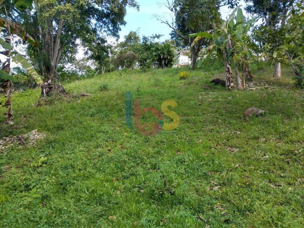 Terreno, 30 hectares - Foto 3