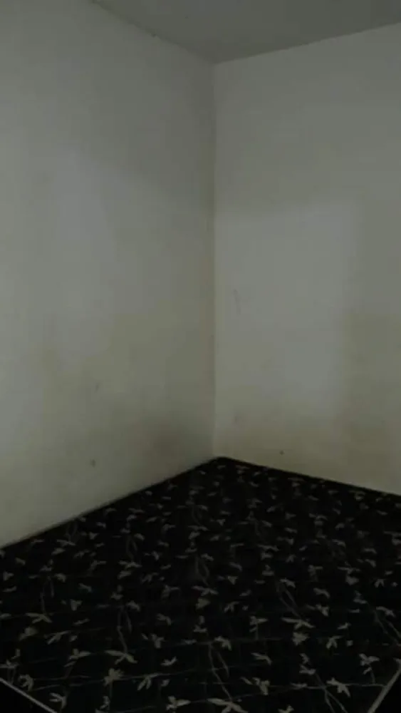 Casa, 4 quartos, 70 m² - Foto 3