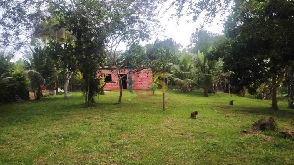 Sítio à venda com 2 quartos, 3800m² - Foto 17
