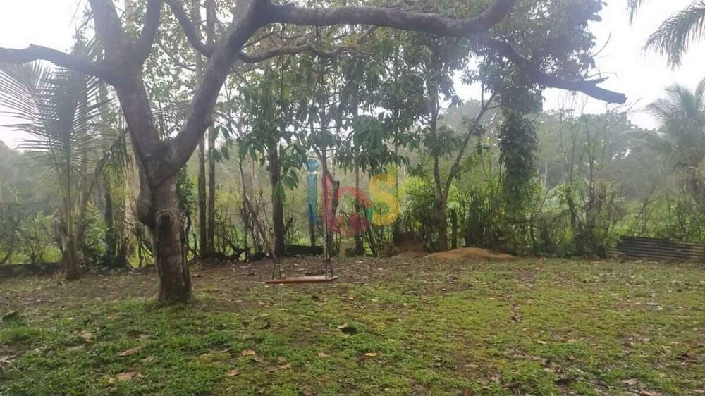 Sítio à venda com 2 quartos, 3800m² - Foto 15