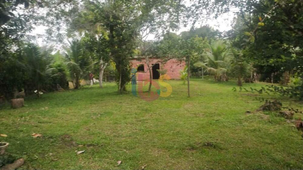 Sítio à venda com 2 quartos, 3800m² - Foto 12