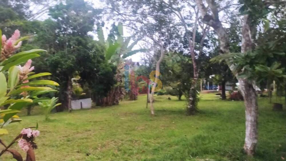 Sítio à venda com 2 quartos, 3800m² - Foto 11