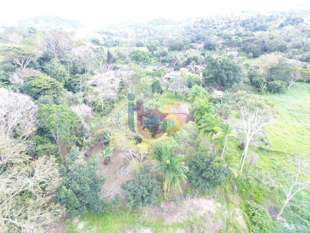 Sítio à venda com 2 quartos, 3800m² - Foto 4