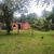 Sítio, 2 quartos, 3800 m² - Foto 20