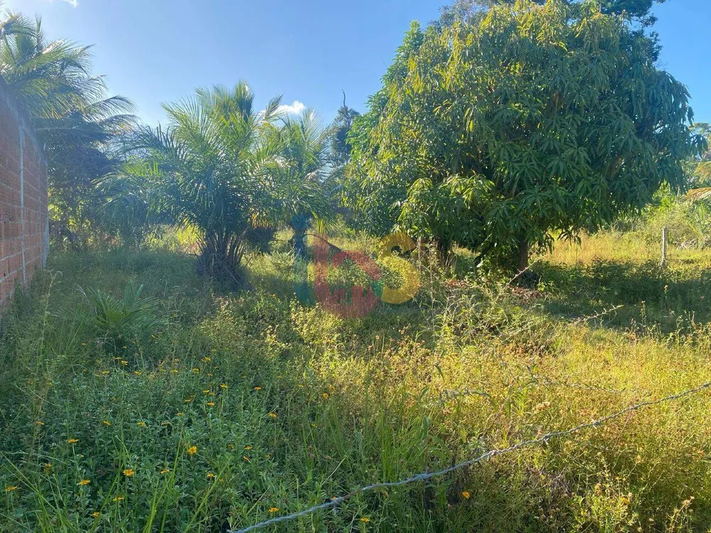 Terreno, 1050 m² - Foto 2