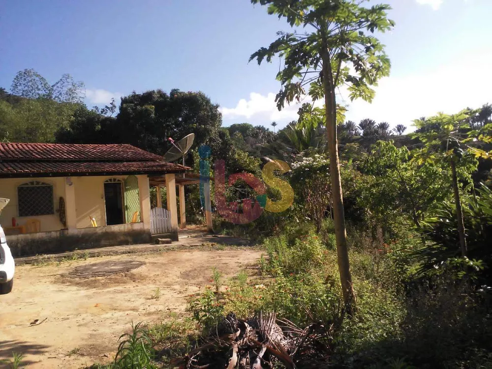 Fazenda à venda com 2 quartos - Foto 26