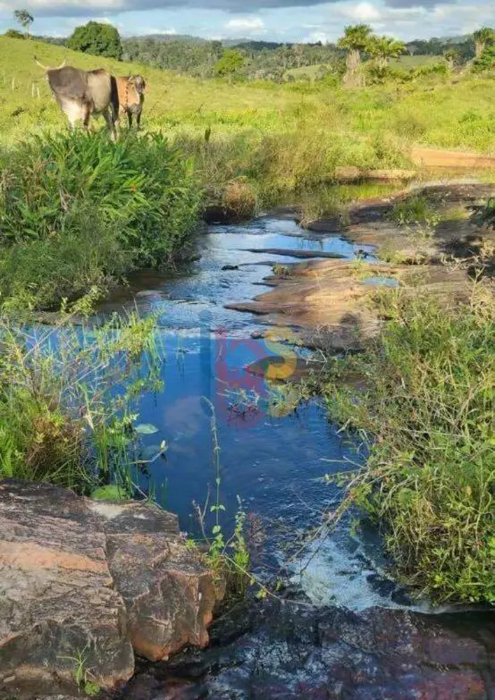 Fazenda, 200 hectares - Foto 1