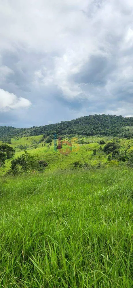 Fazenda, 200 hectares - Foto 2