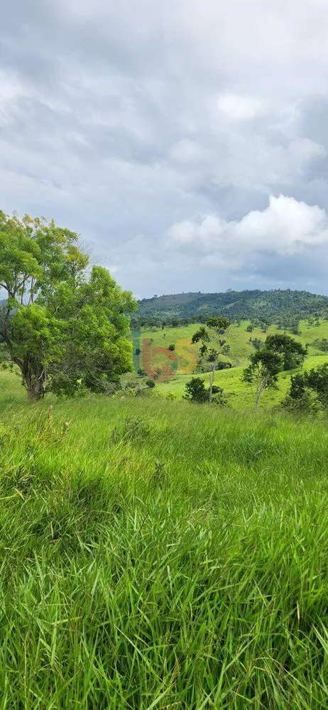 Fazenda, 200 hectares - Foto 3