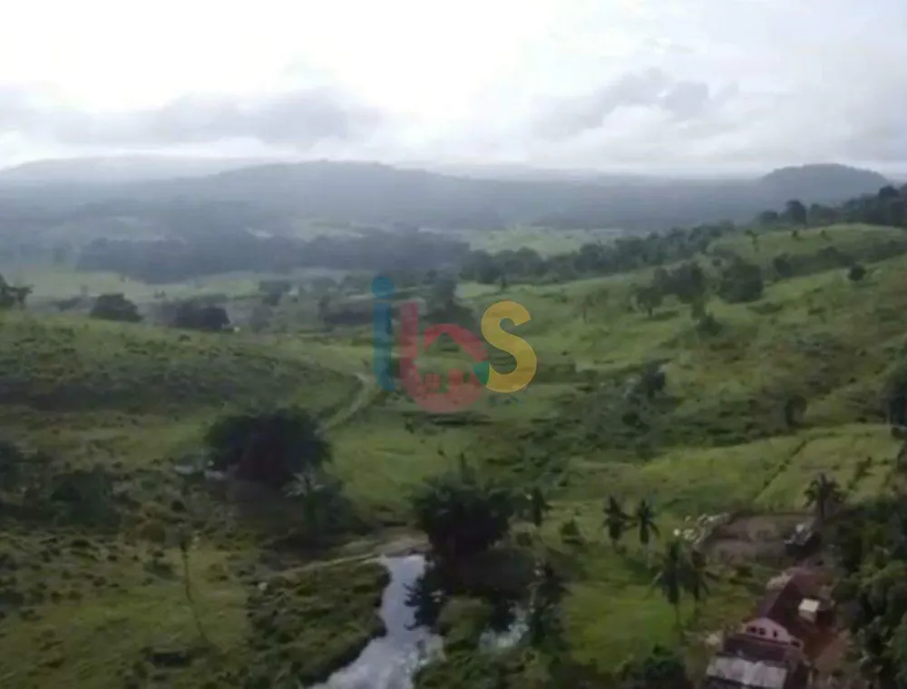 Fazenda, 200 hectares - Foto 7