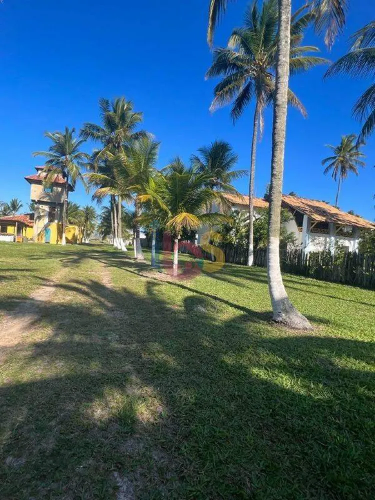 Terreno, 6000 m² - Foto 9