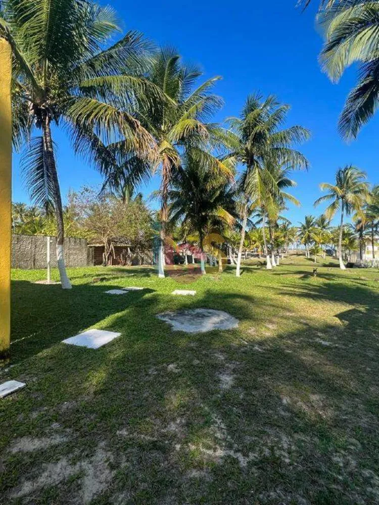 Terreno, 6000 m² - Foto 5