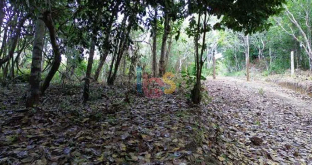 Terreno, 2000 m² - Foto 5