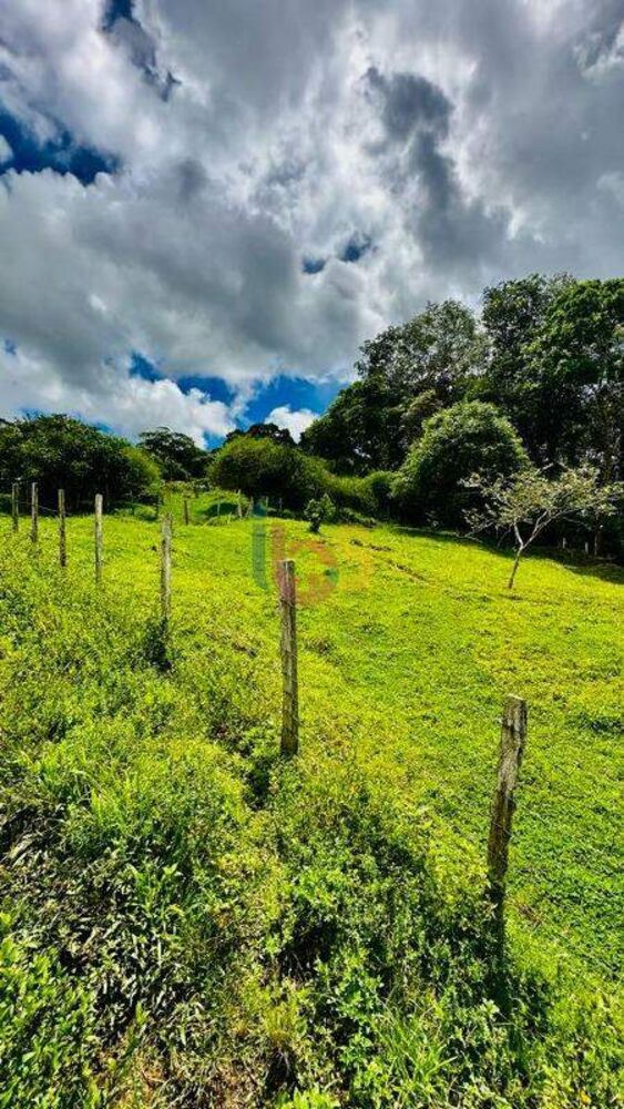 Fazenda - Foto 2