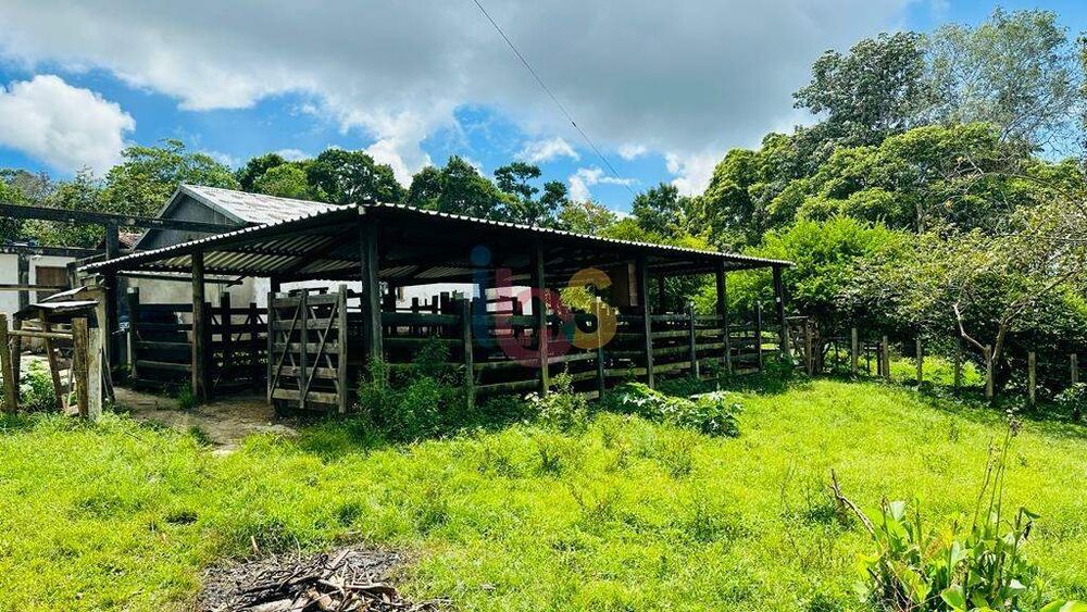 Fazenda - Foto 3