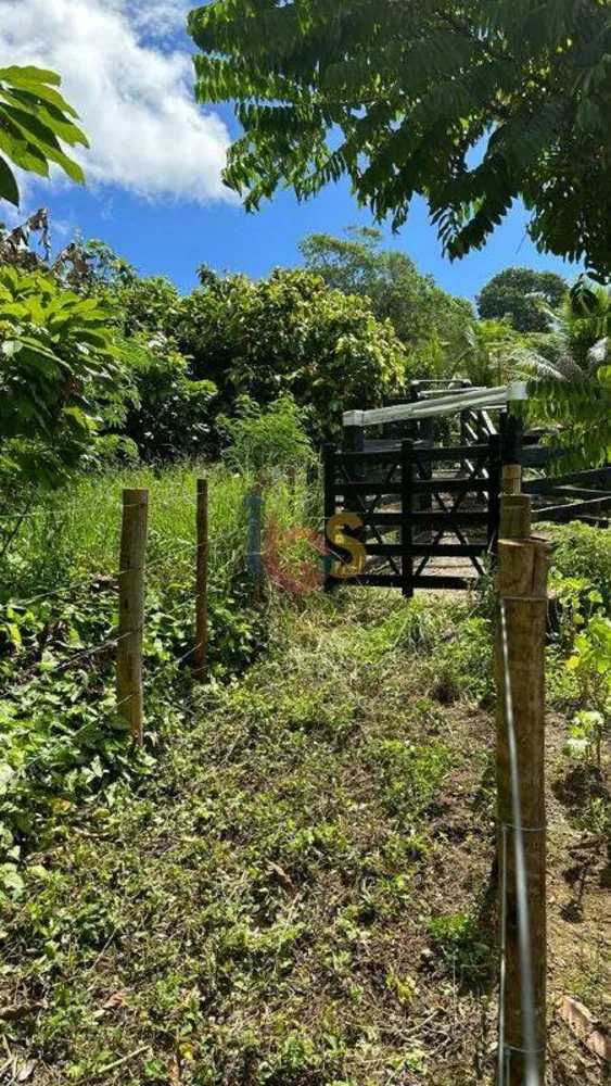 Fazenda - Foto 5