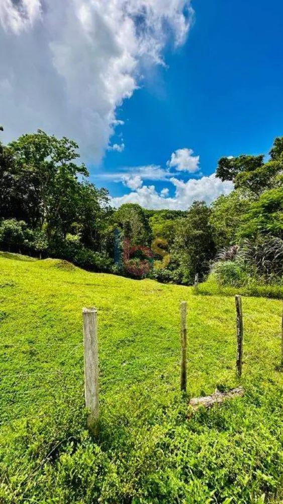Fazenda - Foto 9