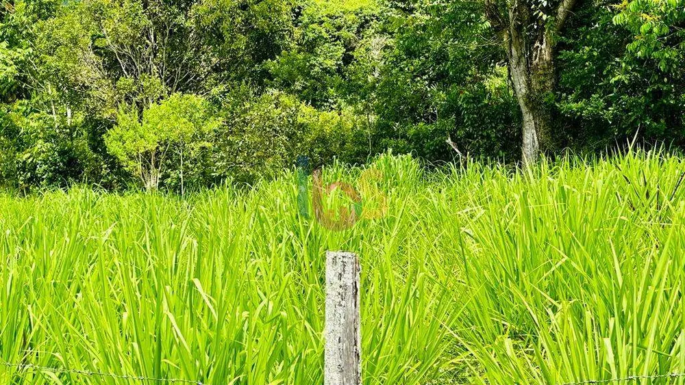 Fazenda - Foto 8