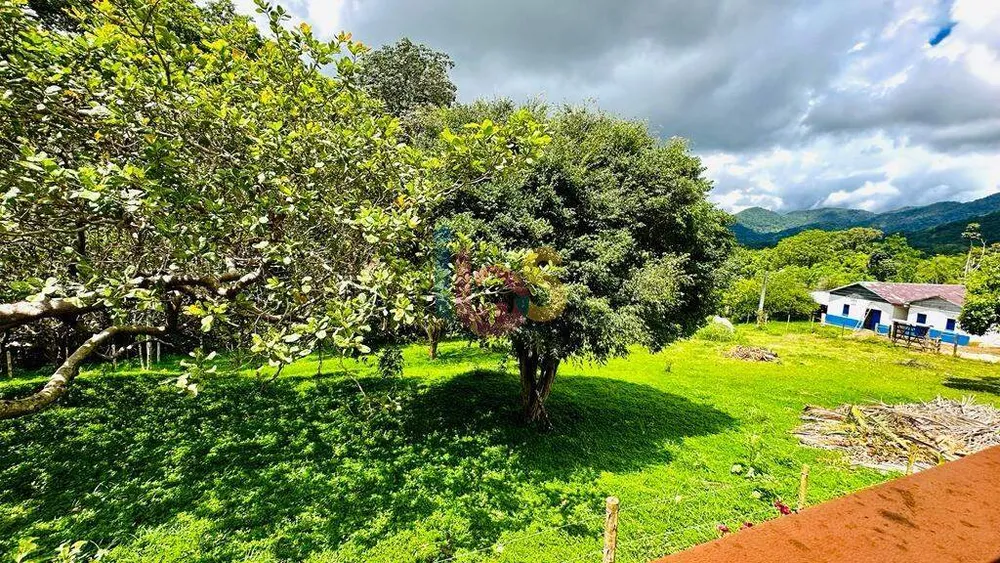 Sítio - Foto 5
