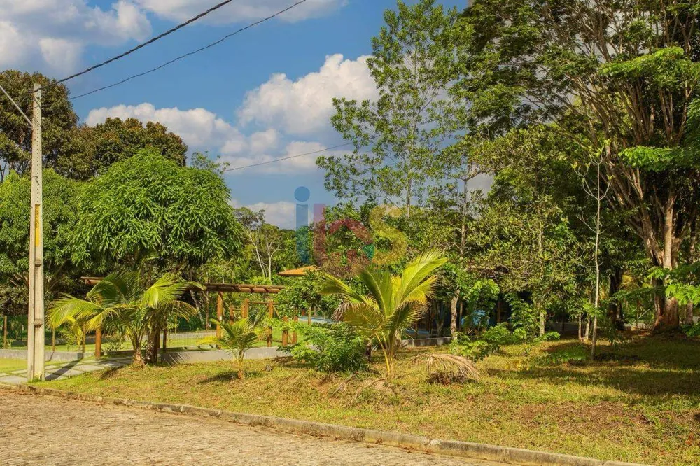 Terreno, 100 hectares - Foto 10