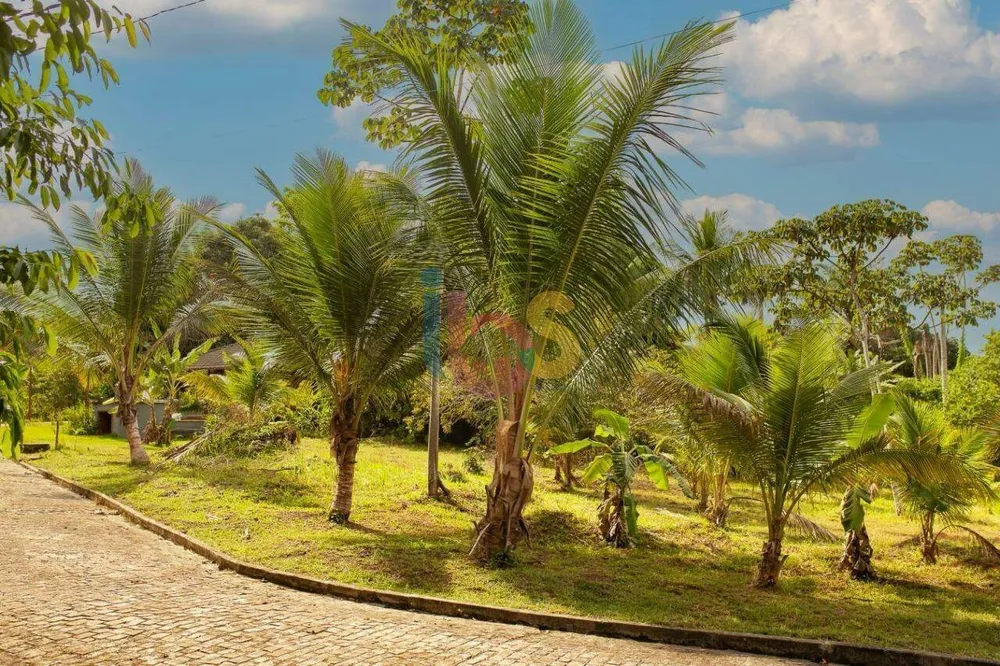 Terreno, 100 hectares - Foto 12