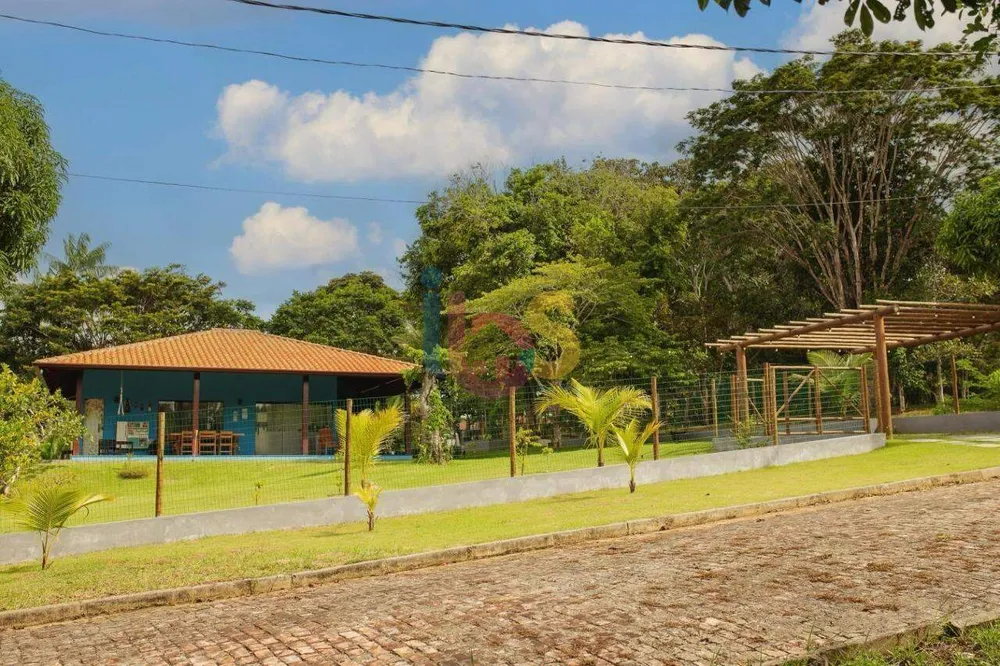 Terreno, 100 hectares - Foto 11