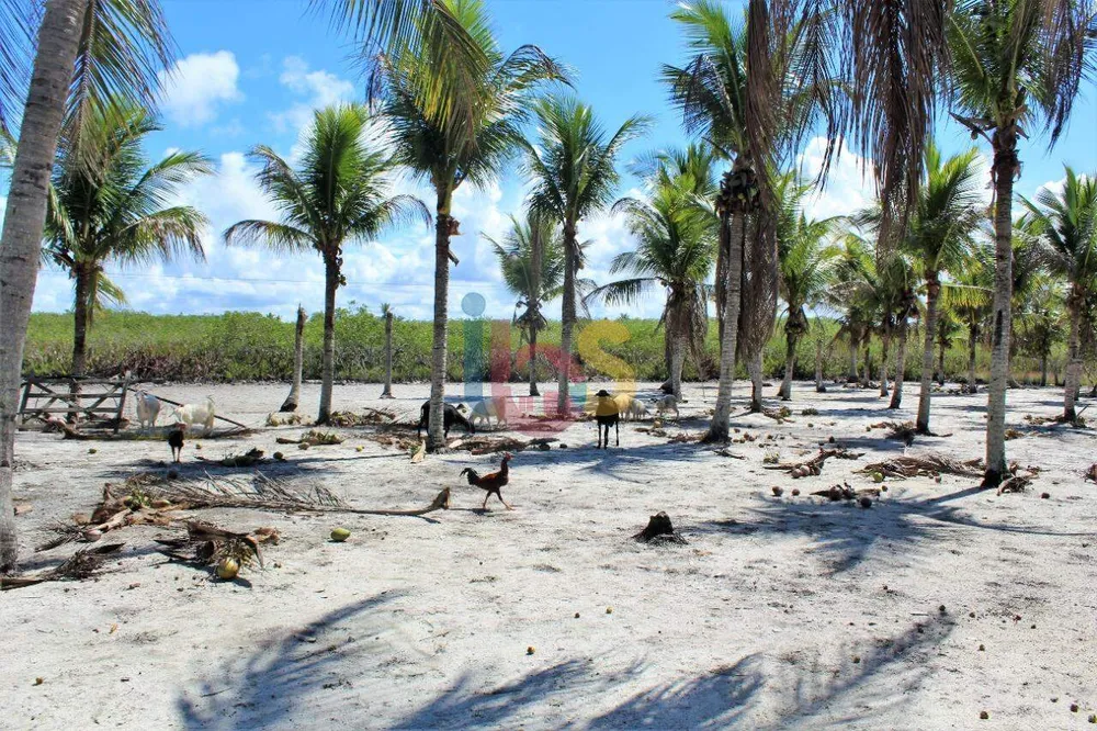 Terreno - Foto 1