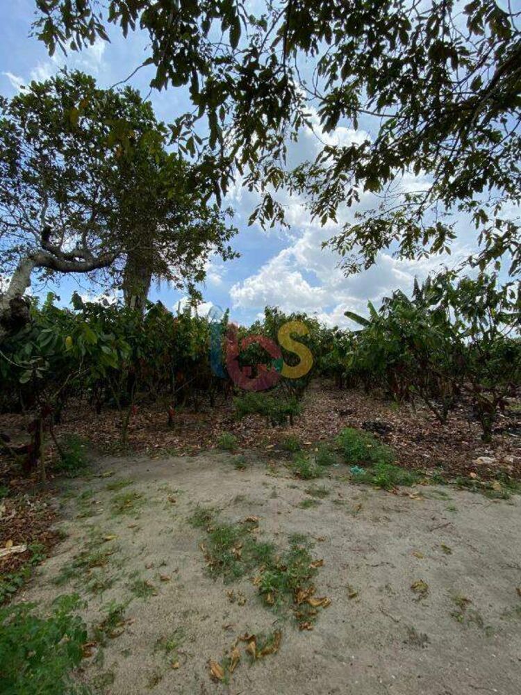 Terreno, 1 hectares - Foto 3