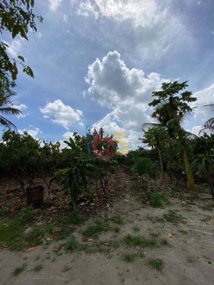 Terreno, 1 hectares - Foto 2