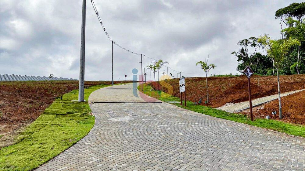 Terreno, 1000 hectares - Foto 4