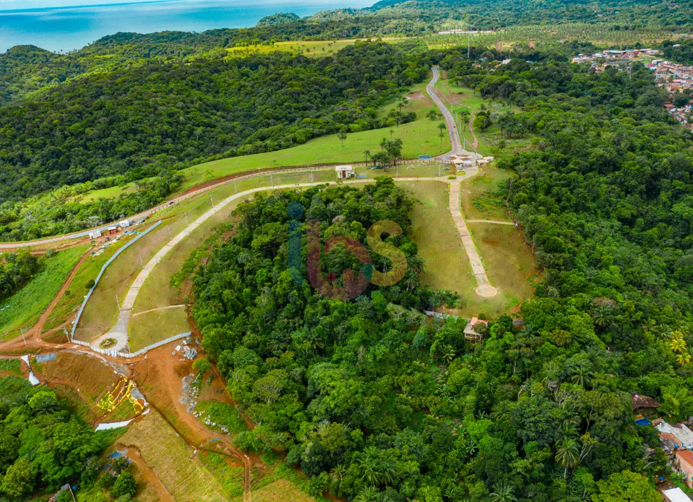 Terreno, 1000 hectares - Foto 6